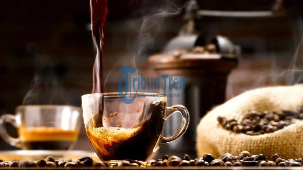 Batas Konsumsi Kopi yang Aman Bagi Tubuh vs Tren Ngopi Sambil Nongkrong