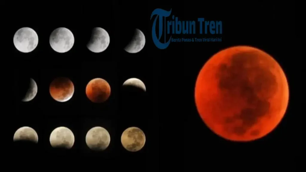 Gerhana Bulan Total (Blood Moon) Jam Berapa? Berikut Update Informasi Langsung dari BMKG!