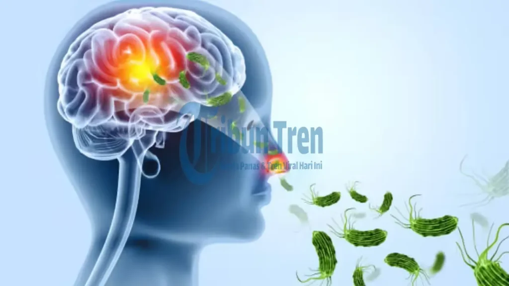 Kasus Infeksi Amoeba Pemakan Otak (Naegleria Fowleri) Melonjak