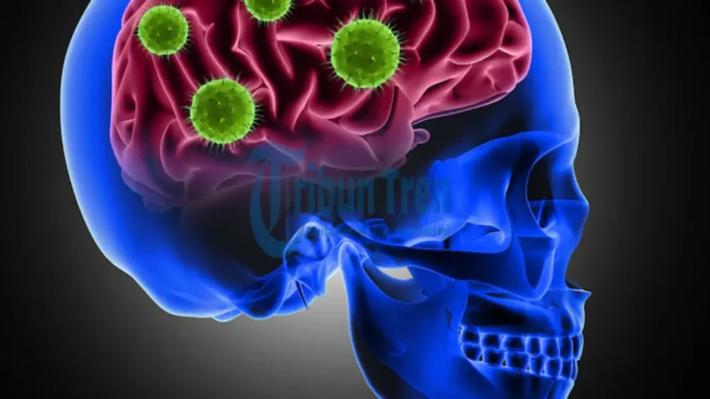 Kasus Infeksi Amoeba Pemakan Otak (Naegleria Fowleri) Melonjak