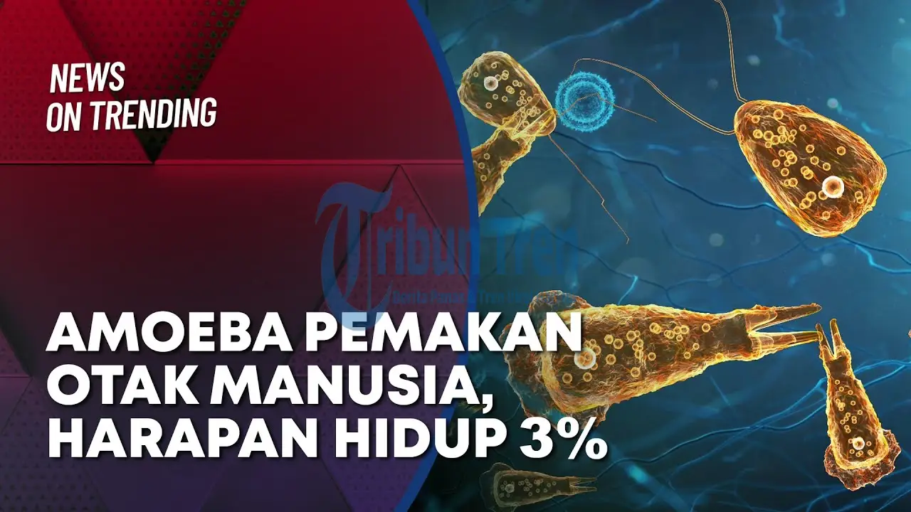 Kasus Infeksi Amoeba Pemakan Otak (Naegleria Fowleri) Melonjak