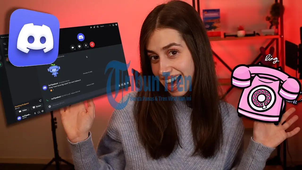 Platform Discord: Peran Sosial Media Sebagai Ruang Publik