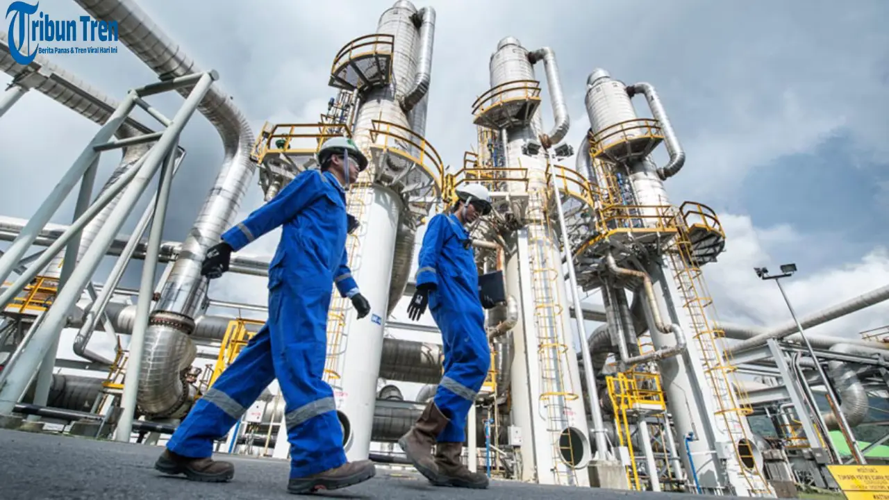 Saham PTRO (Petrosea Tbk) Punya Potensi Uptrend Menjanjikan
