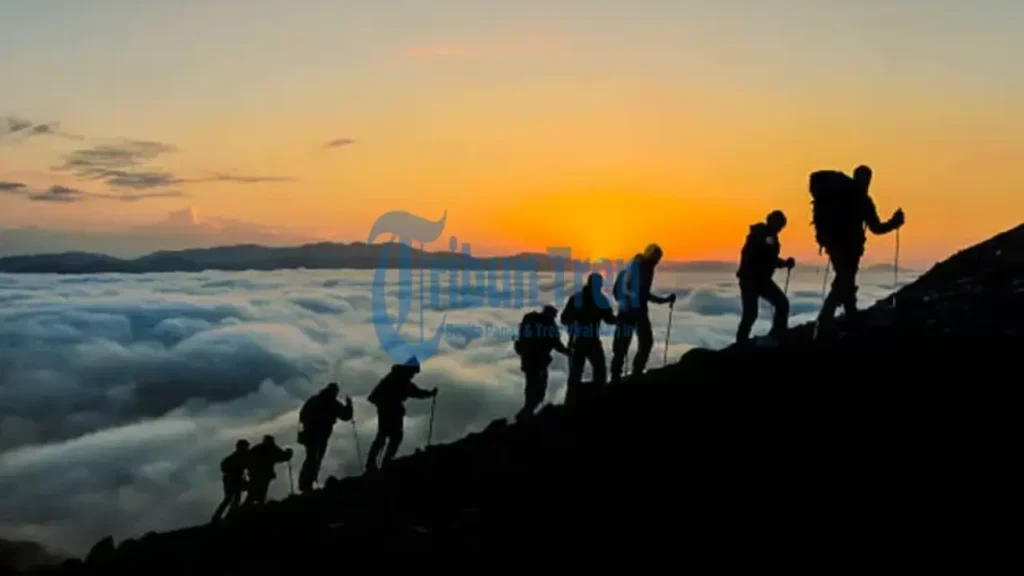 Kasus Pendaki Ilegal Gunung Gede: Bahaya Mendaki Tanpa Izin!