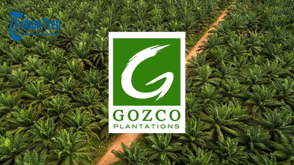 Saham GZCO ARA Akibat Rumor Akuisisi Happy Hapsoro