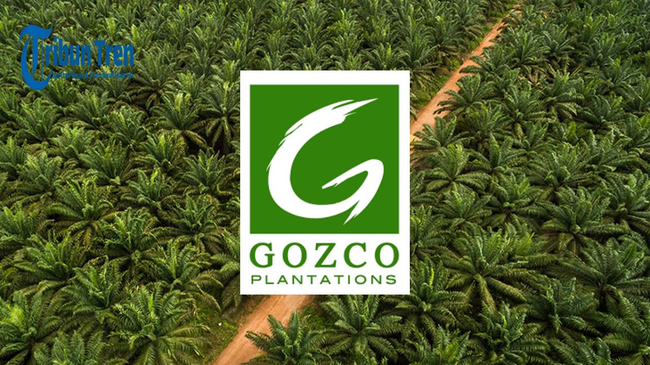 Saham GZCO ARA Akibat Rumor Akuisisi Happy Hapsoro