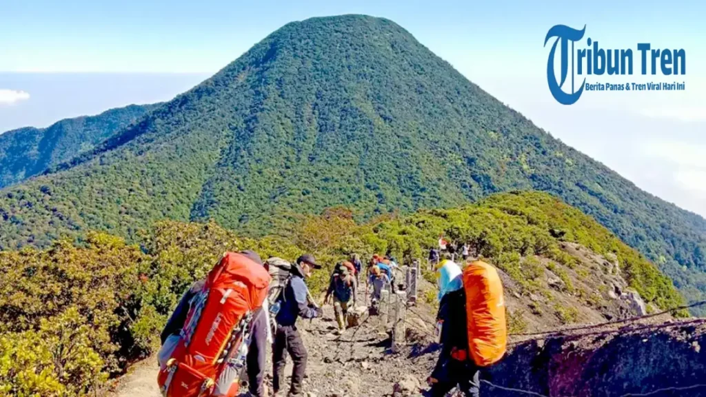 Kasus Pendaki Ilegal Gunung Gede: Bahaya Mendaki Tanpa Izin!