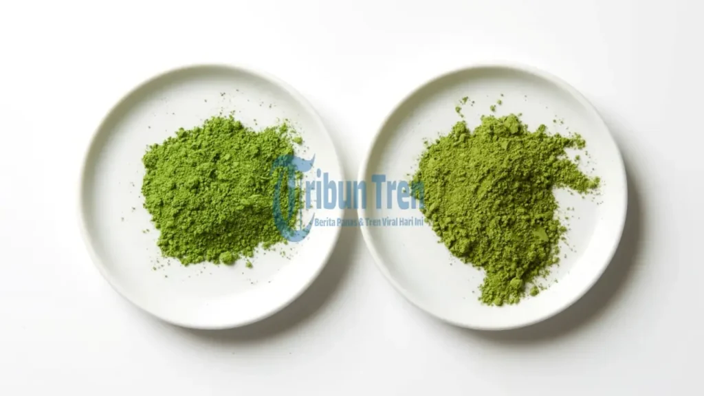 Manfaat Ceremonial Matcha vs Culinary Matcha untuk Kesehatan