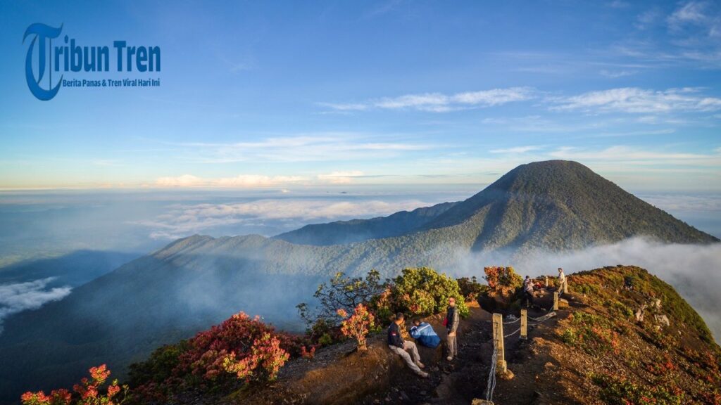 Kasus Pendaki Ilegal Gunung Gede: Bahaya Mendaki Tanpa Izin!