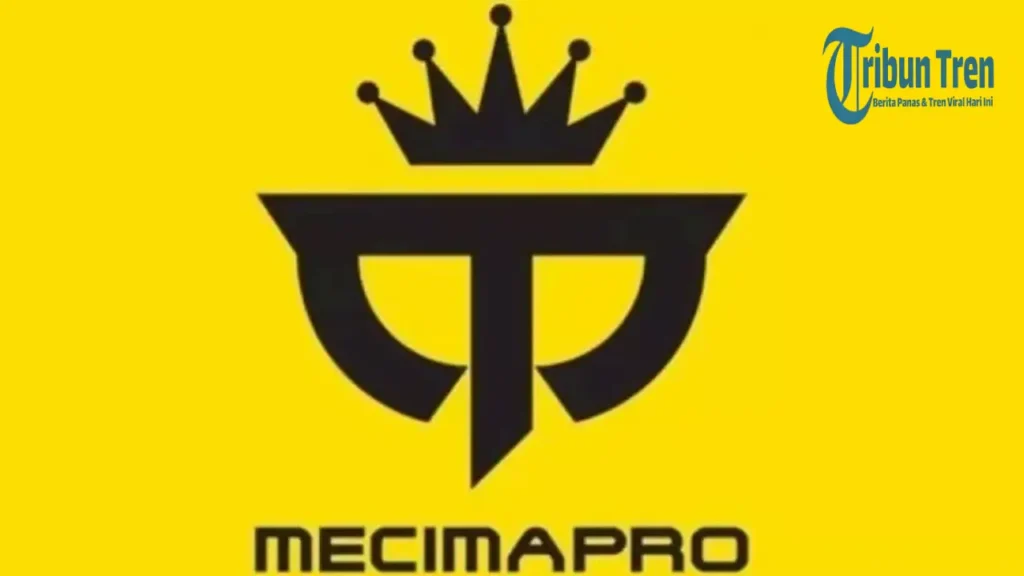 Profil Fransiska Dwi Melani, Bos Mecimapro yang Jadi Tersangka