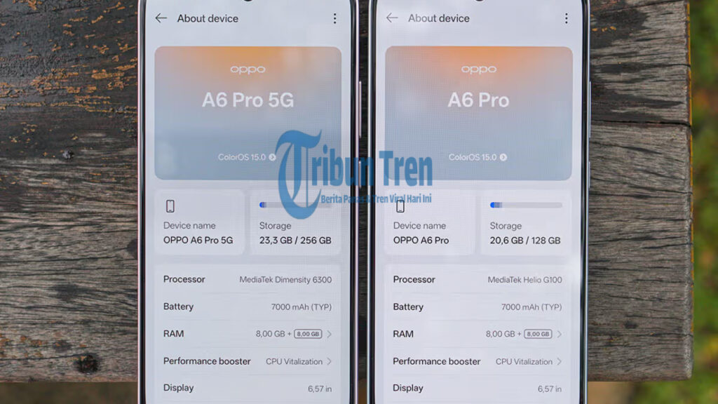 Preorder Oppo A6 Pro 4G dan 5G Resmi Dibuka di Indonesia